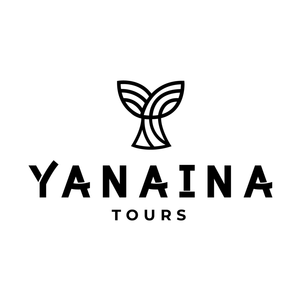 yanaina-mavrk-studio-branding